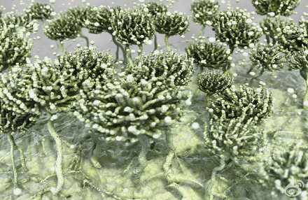 食品安全檢測儀器，水分儀，固含量，肉類水分儀，ATP熒光,農藥殘留，藥物殘留.深圳市芬析儀器制造有限公司